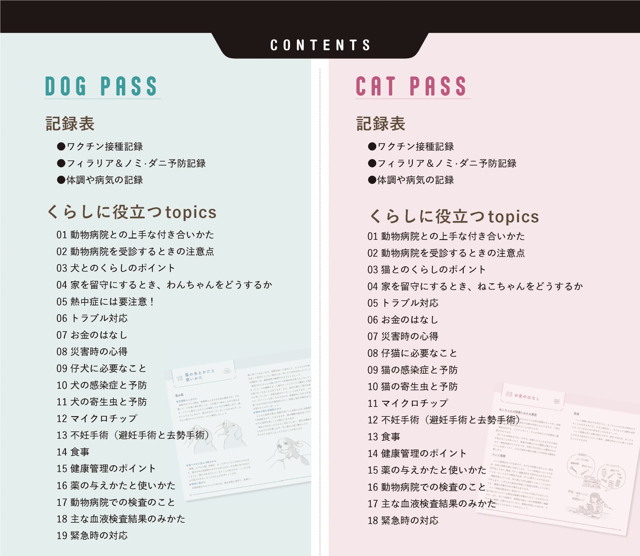 PASS特集内容2
