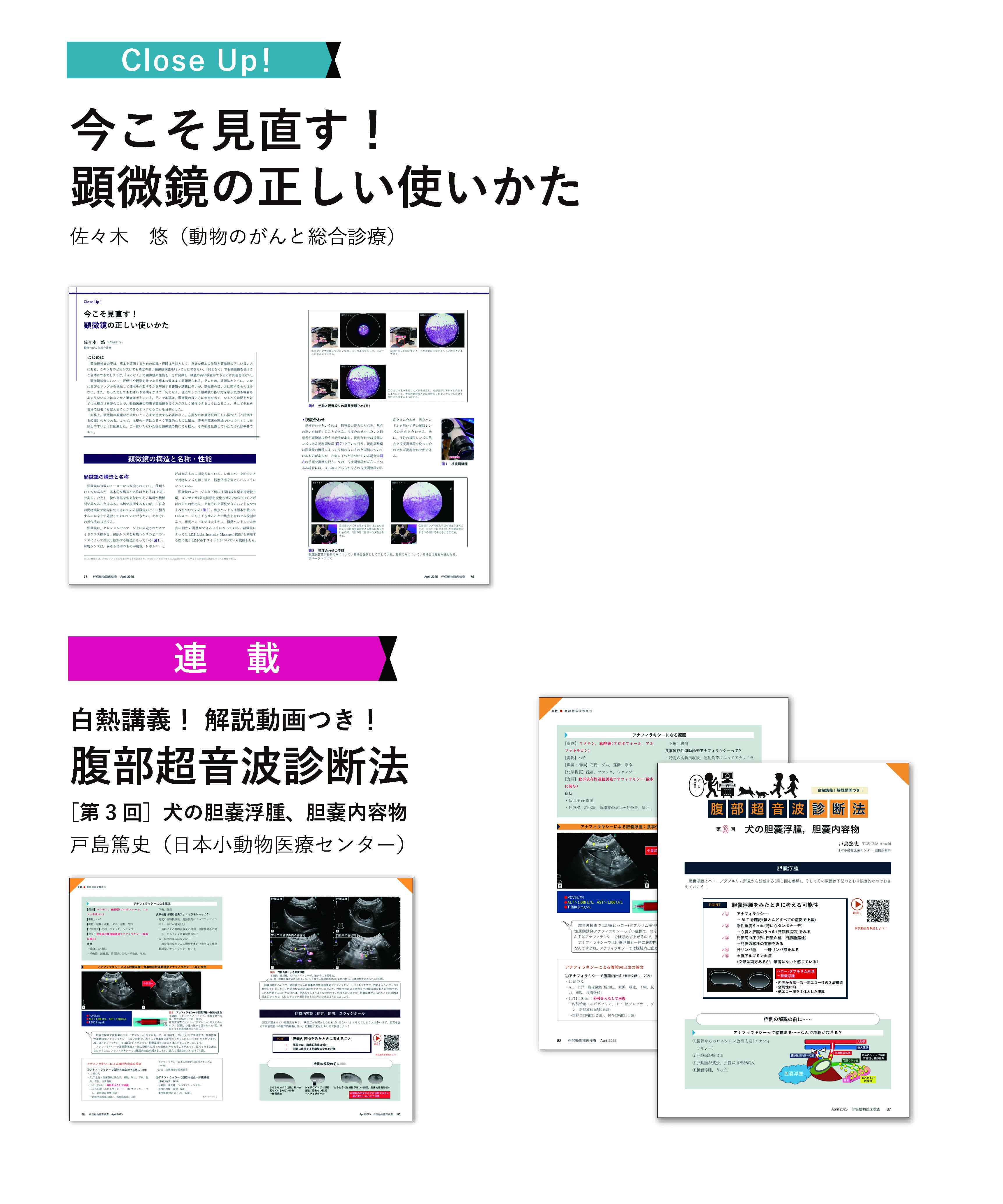 伴侶動物臨床検査特集内容2