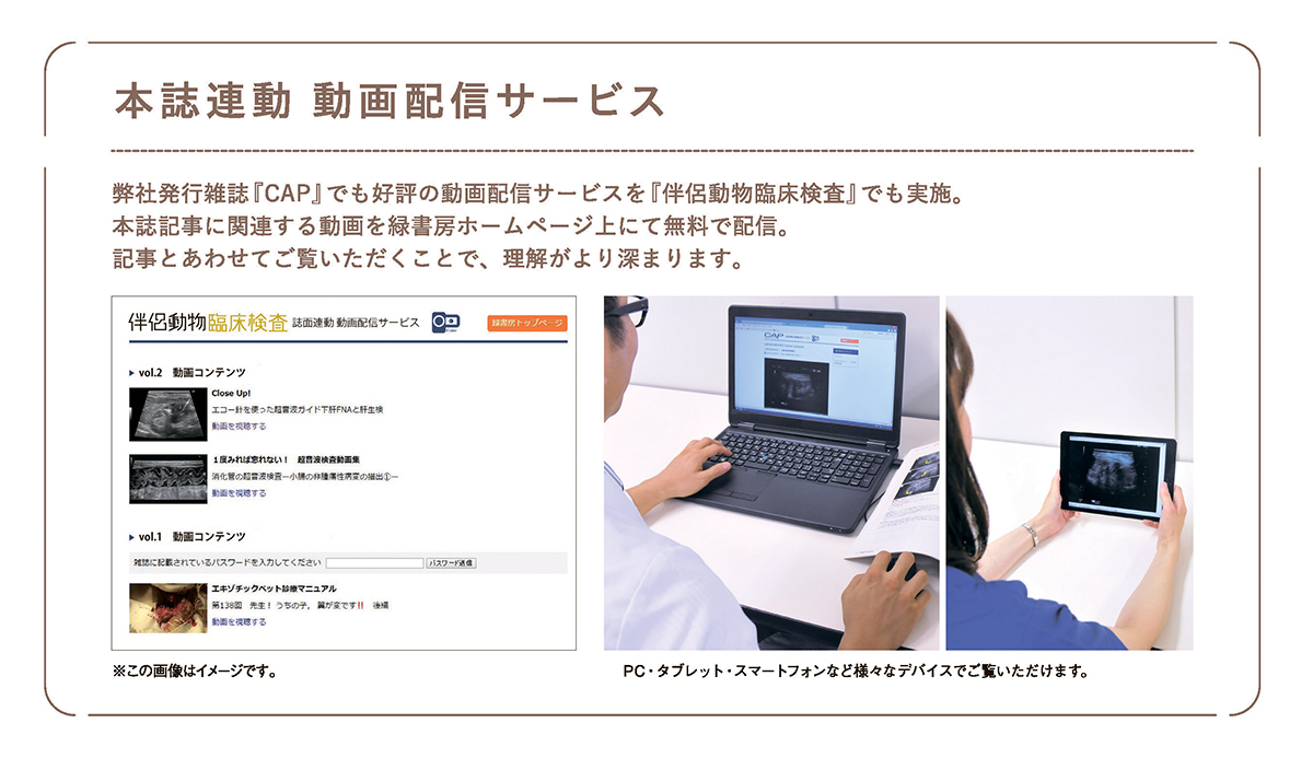 伴侶動物臨床検査本誌連動動画サービス