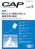 cap2509.jpg