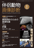 伴侶動物画像診断 (No.10) [大型本] 伴侶動物画像診断のバックナンバー | 雑誌/定期購読の予約はFujisan