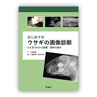 はじめてのウサギの画像診断